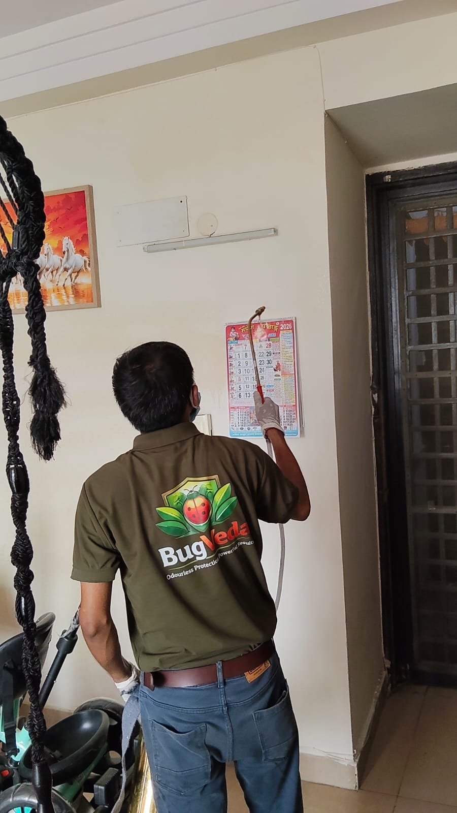Mosquito Control